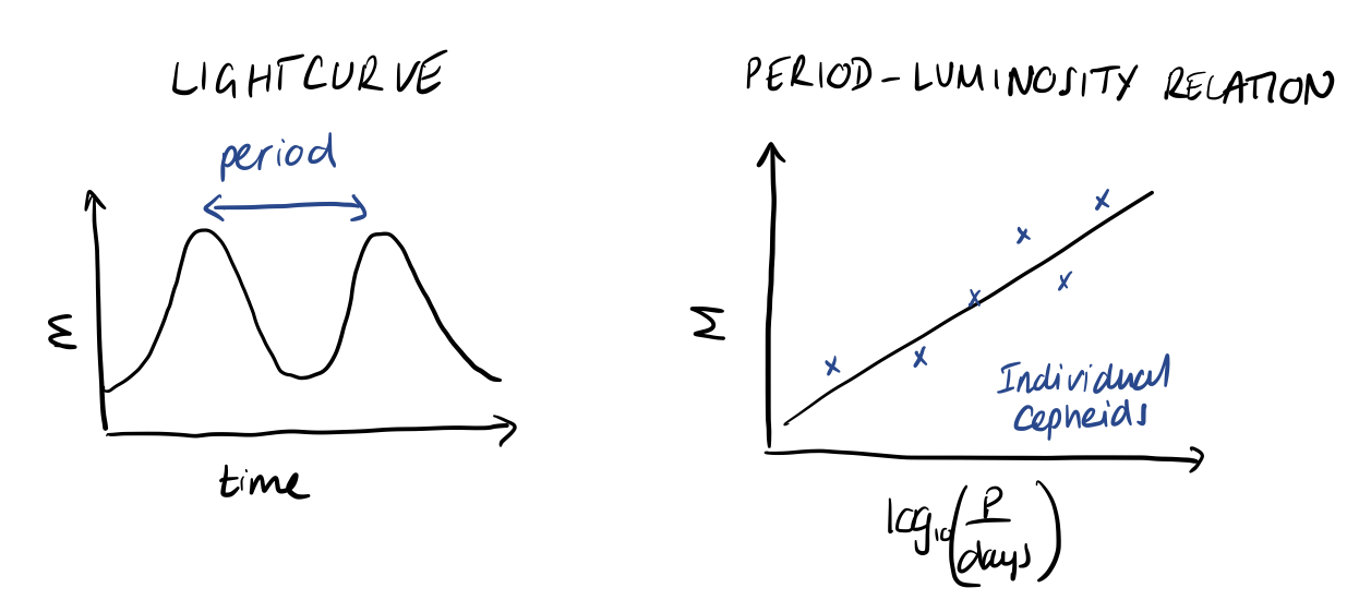 Cepheid variables and the period-luminosity relation